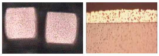 CP-M01E 페이스트 적용한 0402-inch MLCC의 외부전극 표면 및 단면 광학현미경 사진