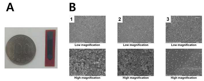 페니실린 검출 센서의 (A) 실물 사진과 (B) 전극 표면 SEM 이미지.