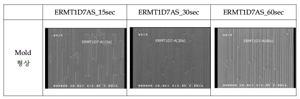 ERMT1D7+AS의 BL경화 시간대별 Mold SEM Image
