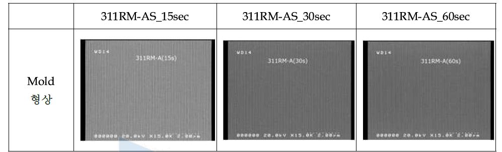 311RM+AS의 BL경화 시간대별 Mold SEM Image