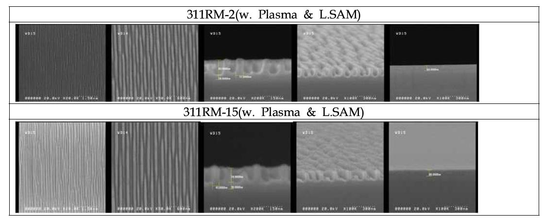 311RM-2, 15 (w. Plasma & L.SAM)의 Imprint후 SEM Image