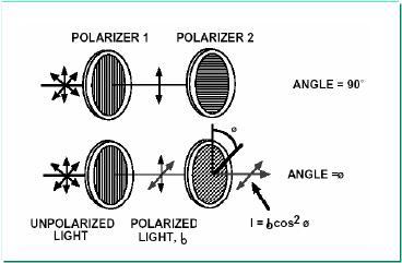 편광자의 특성측정 및 원리