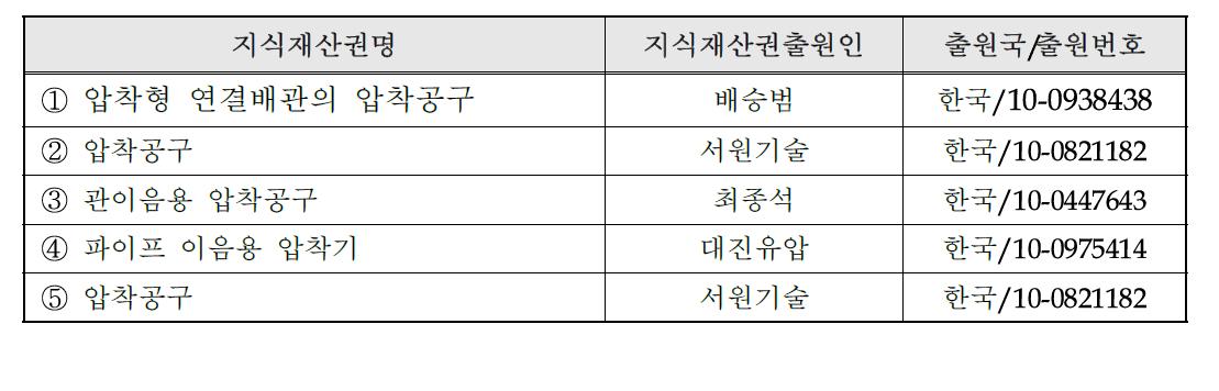 국내외 관련지식재산권 현황