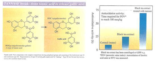 탄닌 분해 작용 기작