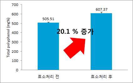 효소처리 최적조건에 대한 총페놀 함량 분석 결과