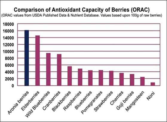 베리류의 활성산소 흡수능력(ORAC value) 비교