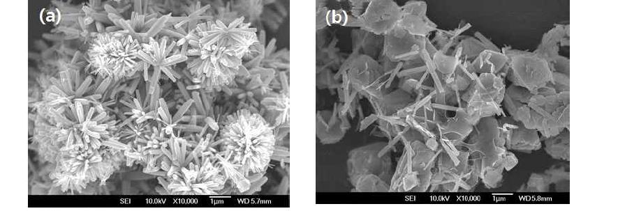 Zinc Nitrate와 Ammonium Carbonate의 몰비 (a) 1 : 0.5 및 (b) 1 : 1.5 에 따른 산화아연 분말의 SEM 이미지