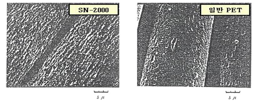 SN2000과 일반 PET의 표면상태