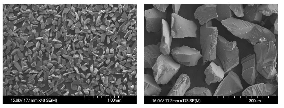 SiC 분말의 SEM 결과