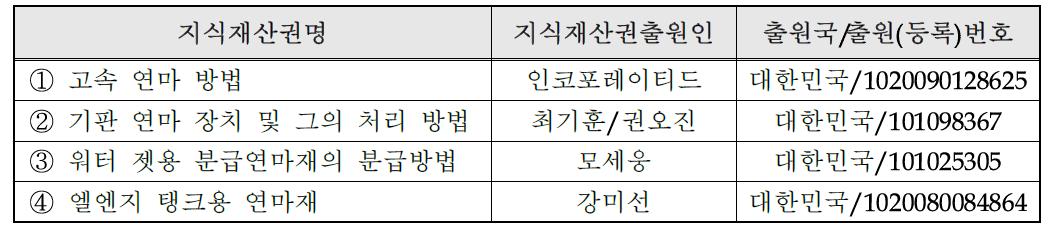 국내외 관련지식재산권 현황