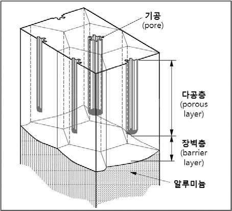 다공성 양극산화 피막의 구조