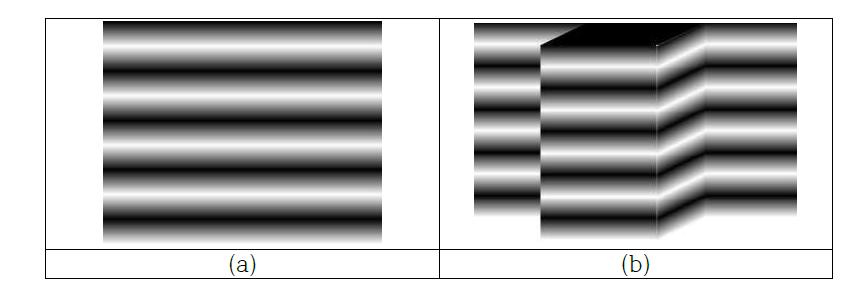 패턴 투영 (a) 기본 패턴 (b) 패턴의 왜곡 현상