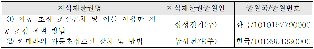 국내외 관련지식재산권 현황