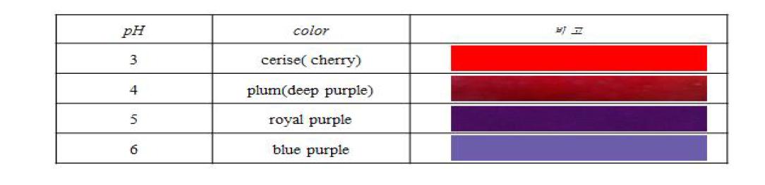 pH에 따른 안토시안 색소의 발색도
