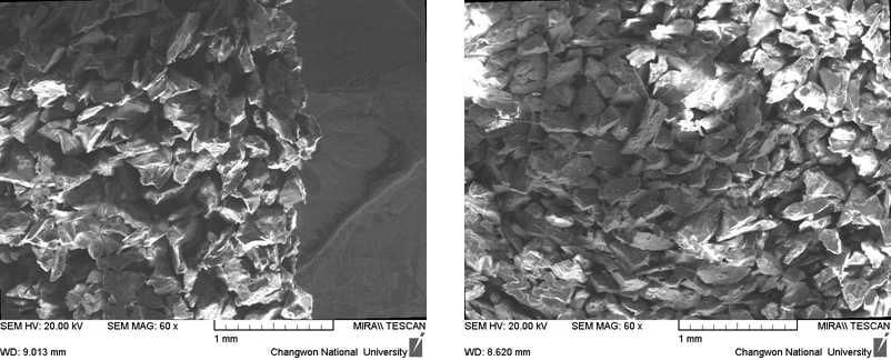 FE-SEM image of the cross-section of supported membrane.