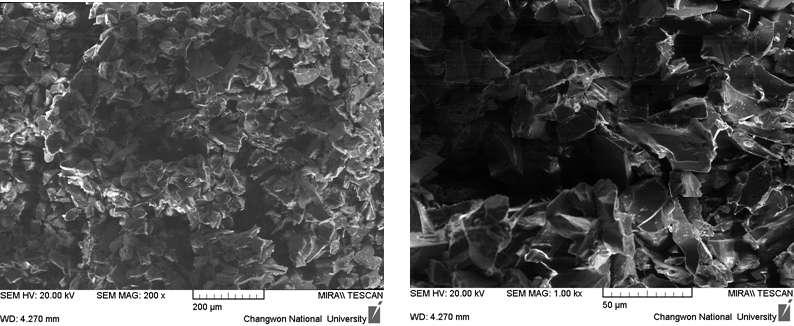 FE-SEM image of the cross-section of supported membrane