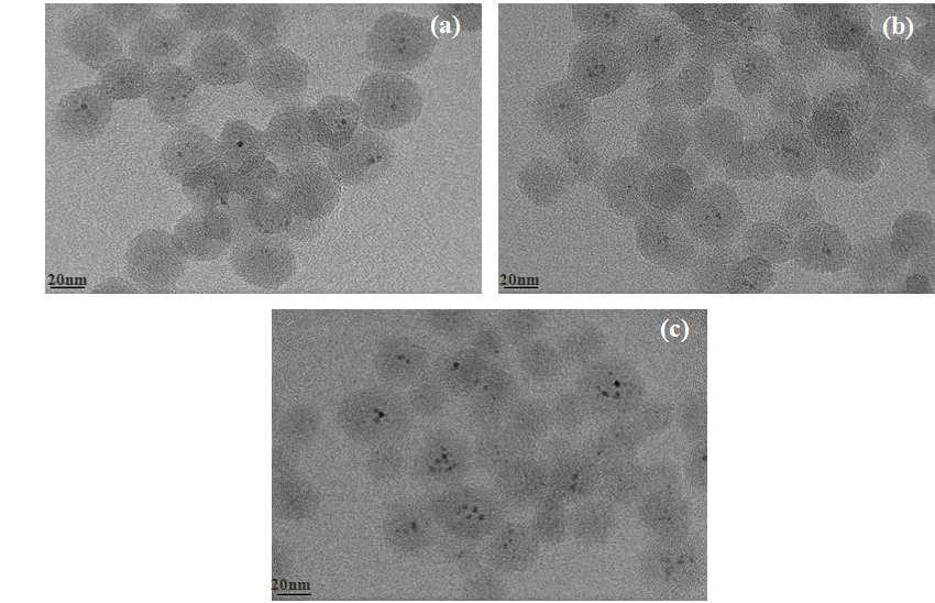 FE-TEM micrographs of the synthesized Ru/SiO2 nanopaticles as function of R ratio