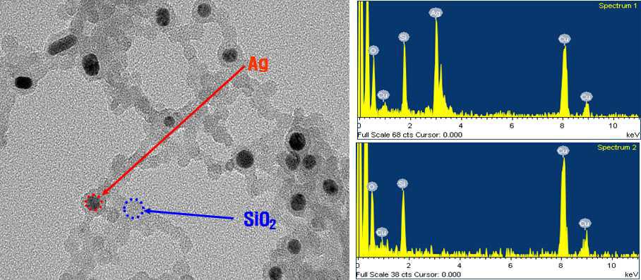 EDS result of the synthesized Ag/SiO2 nanopaticles