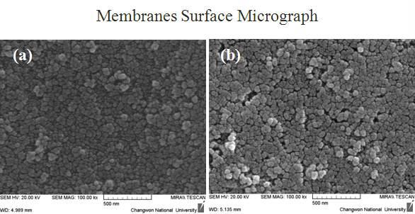 FE-SEM micrograph of Pt/SiO2 nanoparticles by dip coating and different dipping time