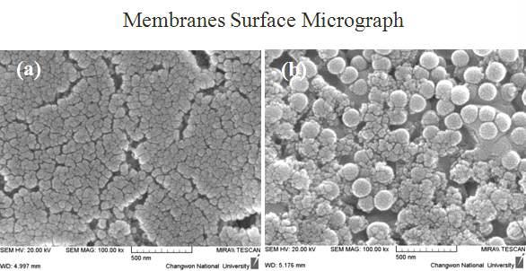 FE-SEM micrograph of Ag/SiO2 nanoparticles by dip coating and different dipping time