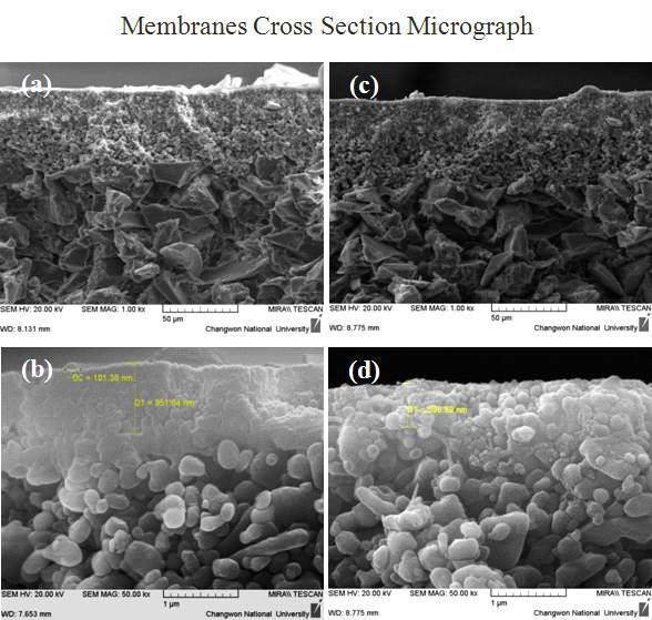 FE-SEM micrograph of Ag/SiO2 nanoparticles by dip coating and different dipping time