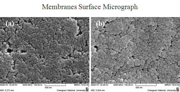 FE-SEM micrograph of Ru/SiO2 nanoparticles by dip coating and different dipping time