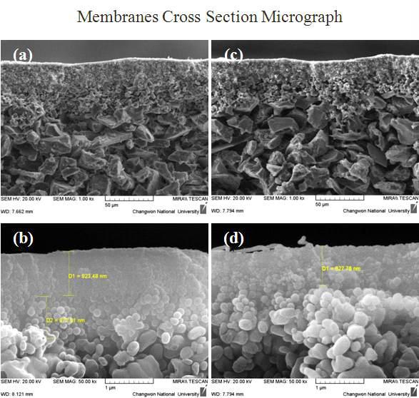 FE-SEM micrograph of Ru/SiO2 nanoparticles by dip coating and different dipping time