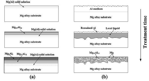 Mg의 확산코팅에 의한 금속간화합물 피막의 형성 (a) 437℃이하, (b) 437℃이상