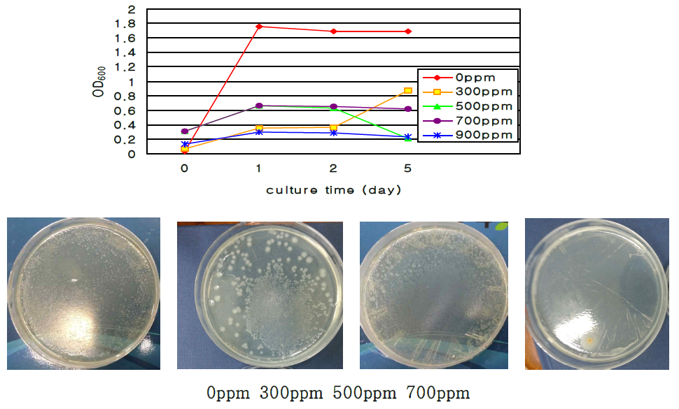 E.coli 에 대한 복합 기능성 TiO2 미립자(AMS-1)의 최소성장억제 농도