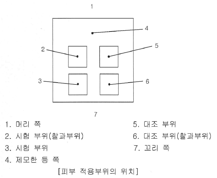 피부자극 시험 위치