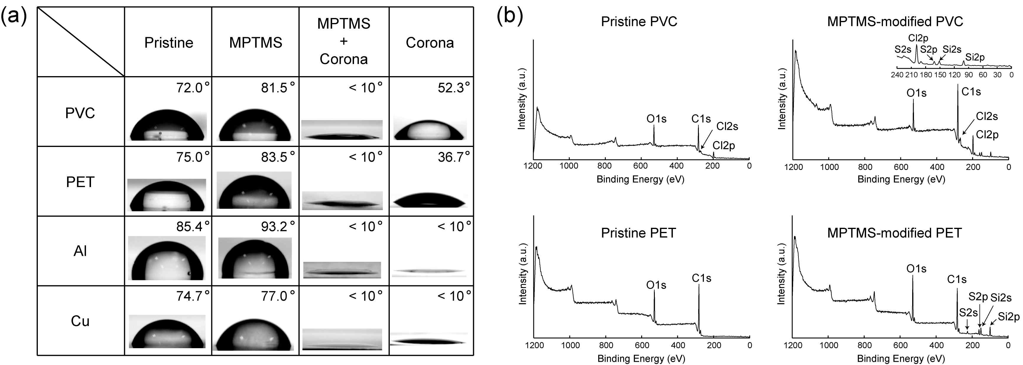 (a)개질화 단계별 물접촉각 변화 양상 (b) XPS 분석결과
