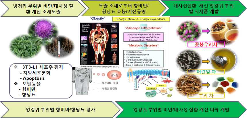 기술개발 흐름도.