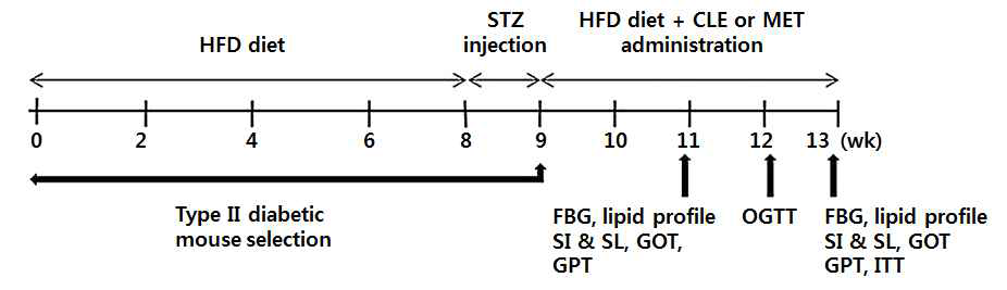 13주간 식이급여와 투여에 따른 실험분석 스케줄. 혈꼬리정맥으로부터 채취하여 당뇨 biomarker을 분석하였다. STD: 표준사료t (10% fat calories); HFD: 고지방사료 (60% fat calories); CLE: 엉겅퀴잎 추출물; MET: 메트포민, OGTT: 경구내당능테스트; FBG: 공복혈당; SI  GOT, glutamate oxaloacetate transaminase; GPT: glutamate pyruvate transaminase; ITT: 인슐린 내당능 테스트.