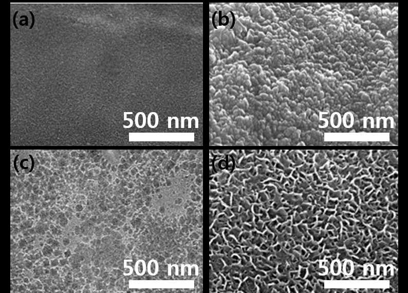 표면개질 처리 전 니티놀(a), 40분간 열적 산화처리 기법을 적용한 니티놀(b, Method 1), 15시간동안 과산화수소 산화처리 기법을 적용한 니티놀(c, Method 2), 본 과제를 통해 개발된 알칼라인 처리기법을 적용하여 5분간 생장시킨 니티놀(d, Method 3 New) 산화물의 SEM 사진.
