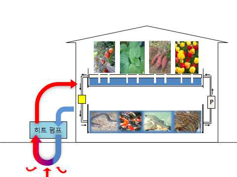 지열 시스템을 이용한 농수산 융복합 생산시스템 개략도
