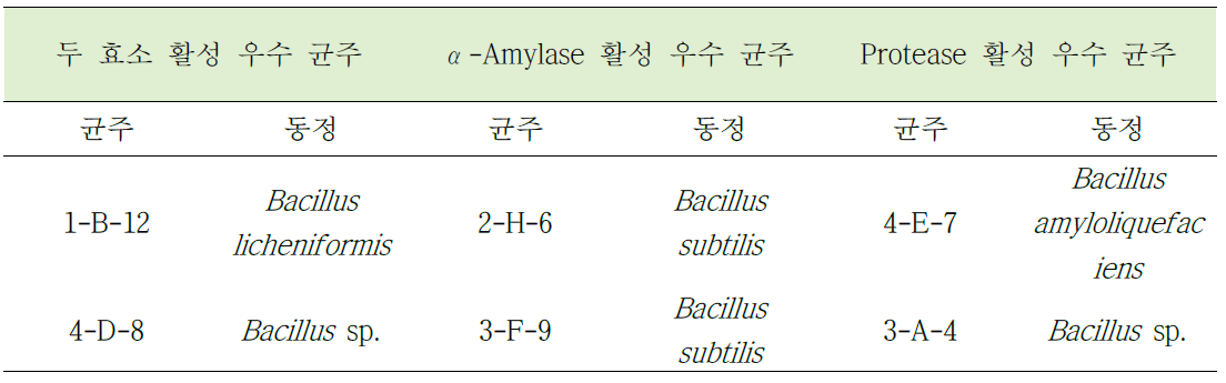 α-Amylase, protease 및 두 효소 모두 활성이 우수한 분리 균주