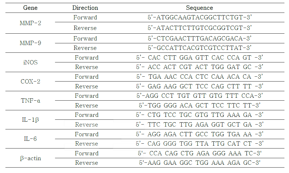 RT-PCR에 사용한 primer