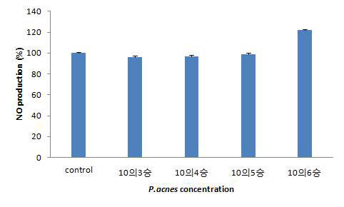 HaCaT cell에 여드름균 주입 후 NO test 결과