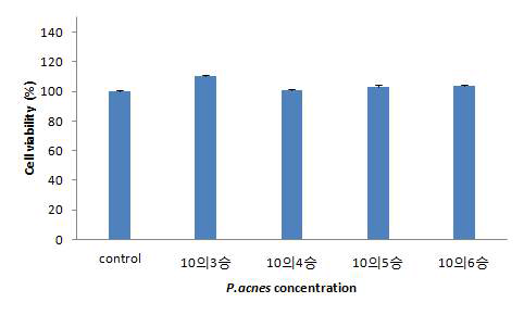 HaCaT cell에 여드름균 주입 후 세포독성시험 결과