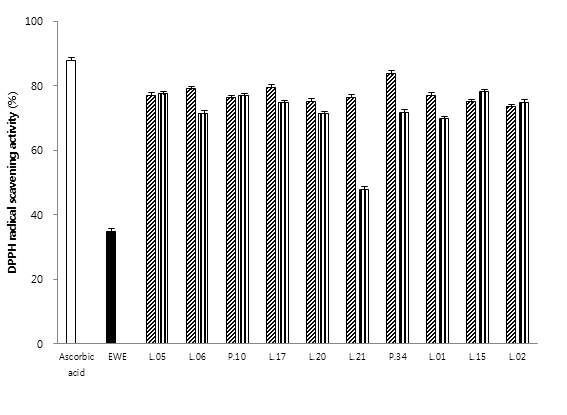 유산균으로 발효시킨 대황 발효액의 DPPH radical 소거능 활성의 변화