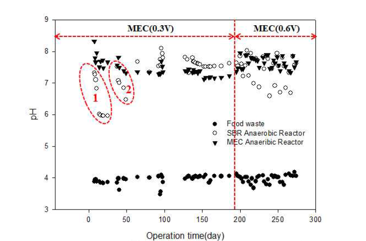 혐기성 소화에서 MEC 적용 여부에 따른 pH 변화 거동