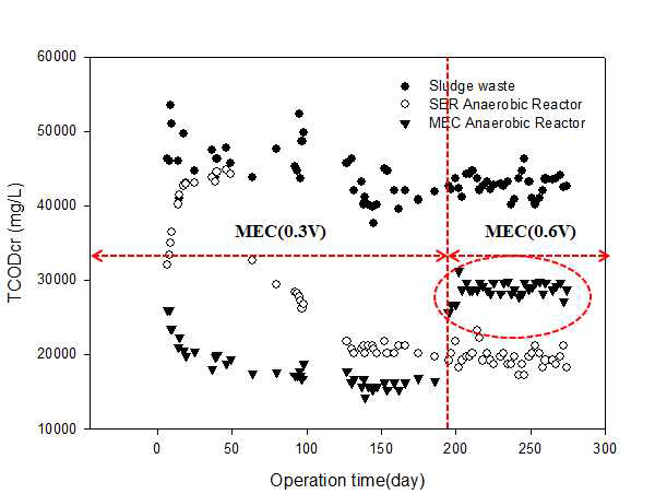 혐기성 소화에서 MEC 적용 여부에 따른 TCOD 변화 거동