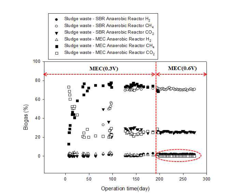 혐기성 소화에서 MEC 적용 여부에 따른 Biogas 변화 거동