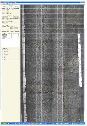 Pavement Analyser : 격자망 구성방법을 사용한 도로 포장 관리시스템