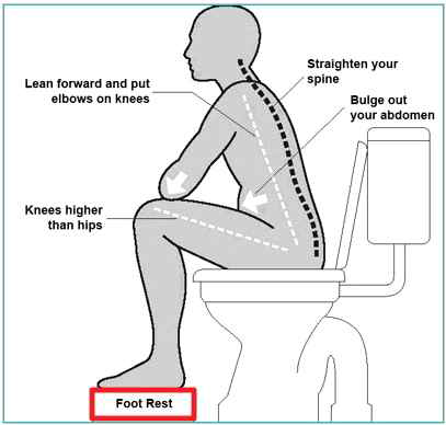 올바른 배변 자세
