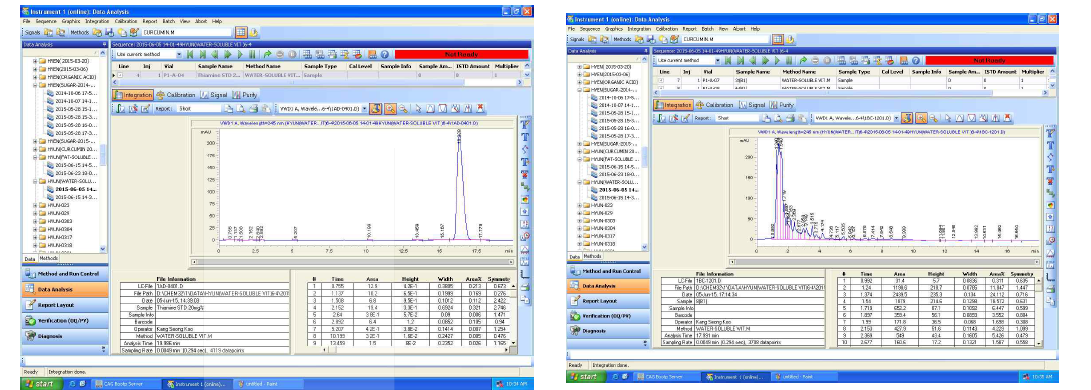 비타민 B1 HPLC chromatogram.