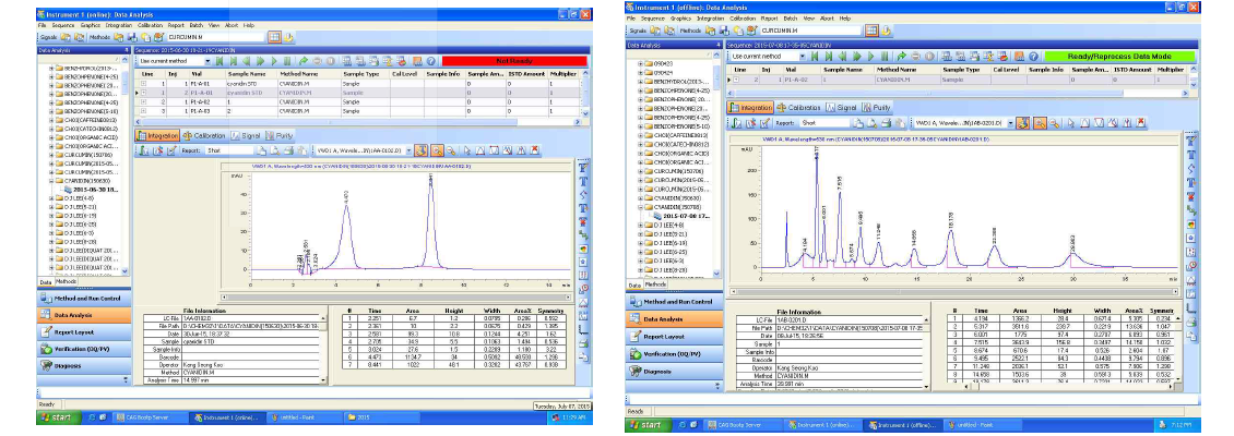 블루베리 색소 HPLC분석 chromatogram.