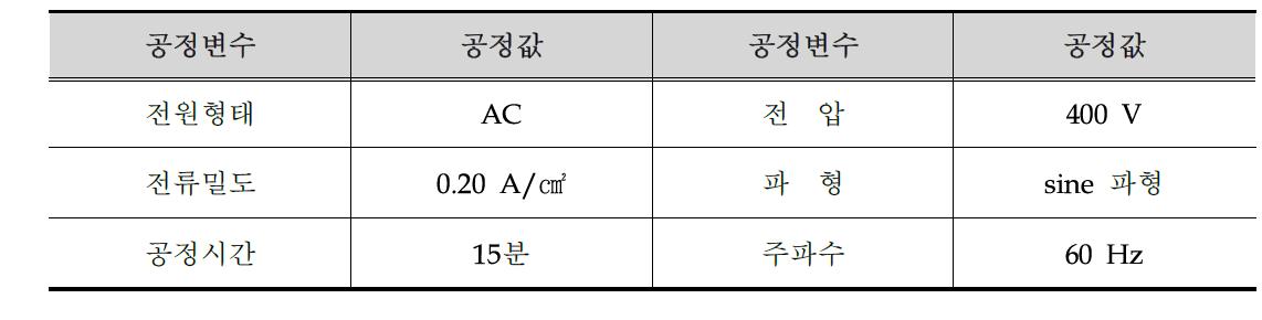 초기 공정조건