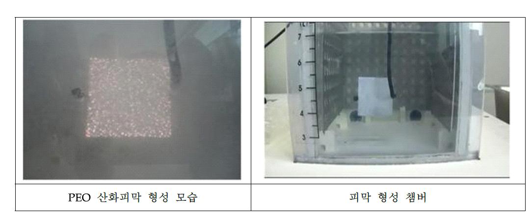 PEO에 의한 산화피막이 형성 사진