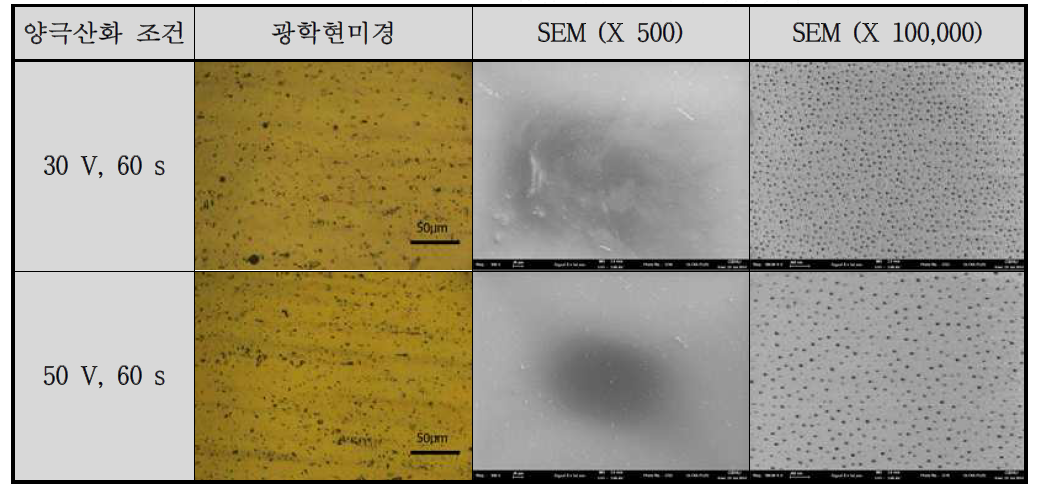 Al 전극의 양극산화에 대한 광학현미경과 전자주사현미경 사진 비교
